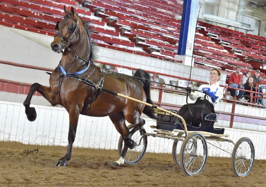 This is just placeholder content